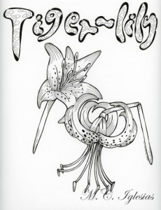 Tiger-lily_corrected